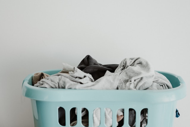 wasmand